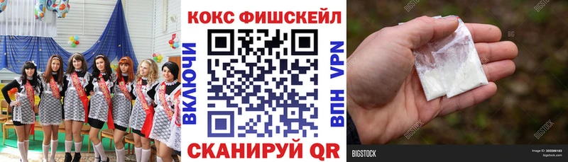 Cocaine FishScale  Купить где  Карабулак 