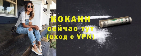 шишки Елизово