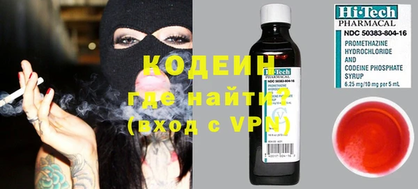 шишки Елизово