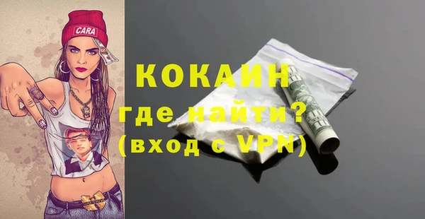 молекула духа Ельня