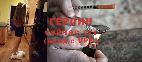 молекула духа Ельня