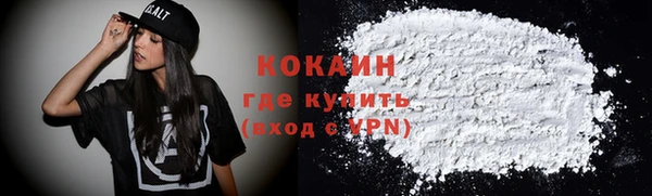 шишки Елизово