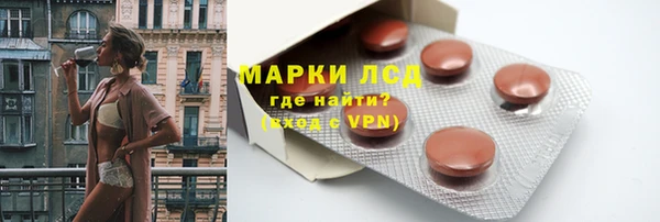 шишки Елизово
