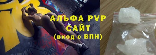 молекула духа Ельня