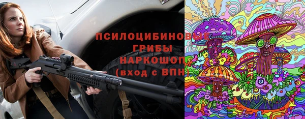 молекула духа Ельня