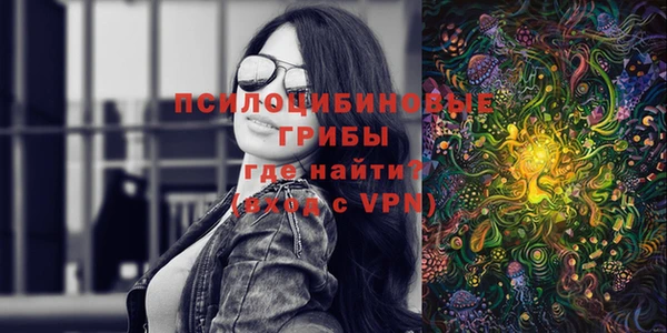 молекула духа Ельня