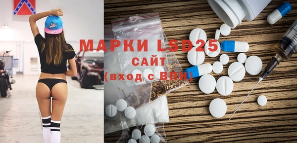шишки Елизово