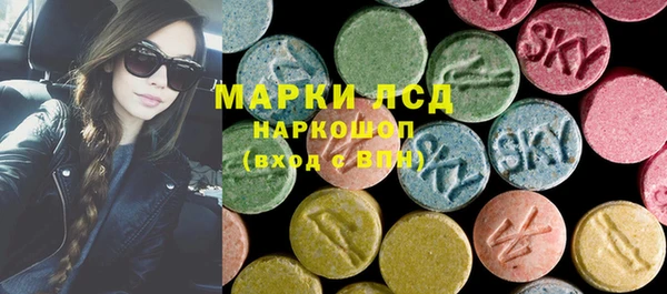 шишки Елизово
