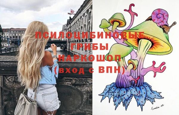 мдпв Заволжье