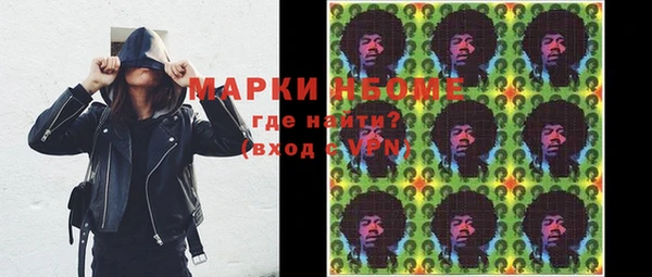 шишки Елизово