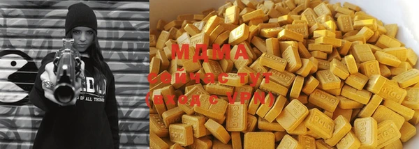 молекула духа Ельня